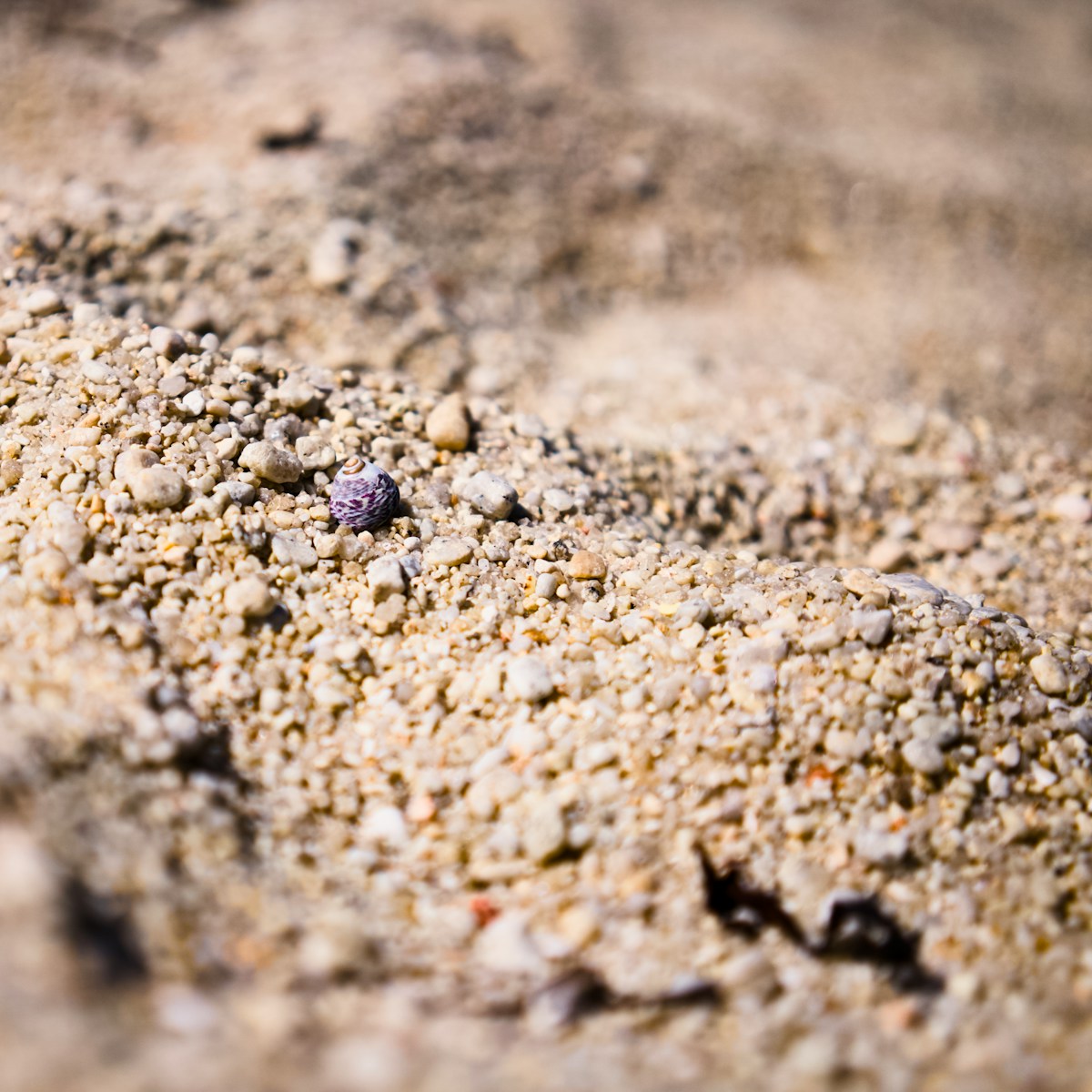 A close up of a sand and gravel surface